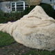 Illustration for article titled emStar Wars/em made entirely out of scarecrows wins best Halloween lawn on this Earth